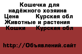 Кошечка для надёжного хозяина › Цена ­ 10 - Курская обл. Животные и растения » Кошки   . Курская обл.